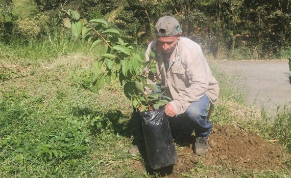 Diseño sin título (5)